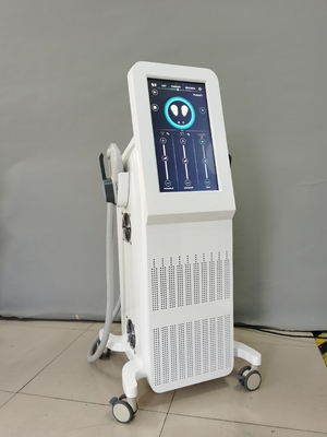 체중 감량 EMS 슬림 머신 4000W 전자 자기 몸 가볍기 EMS 조각 머신