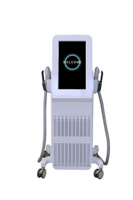 전문 근육 자극기 2000W EMS 기계 근육 성장을 위해
