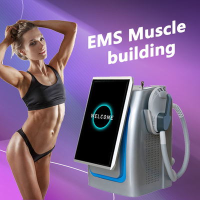 강력한 EMS 몸 조각 기계, 자기 근육 자극기 펄스 300us 5000w
