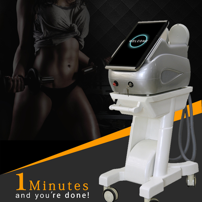 휴대용 13 테슬라 RF EMS 가늘게 만드는 기계 10 인치 터치 스크린