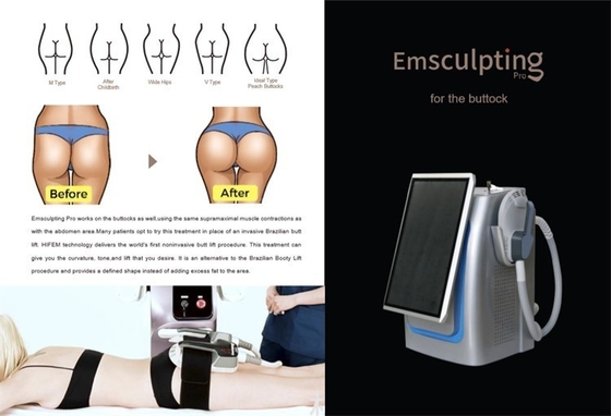 전기 자기 근육 자극 기계 비 침습 RF 가늘한 아름다움 기계 5000W 체중 감량