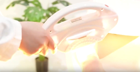 하얀 셸 IPL 레이저 탈모 머신 피부 재생