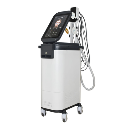 수직 자석 얼굴 Ems rf 피부 연소 피부 리프팅 튼튼 해소 Rf 리프팅 기계 machifor sal