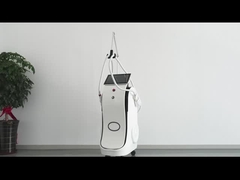 다기능 다이오드 레이저 및 야그 레이저 손잡이 문신 및 탈모 살롱 사용